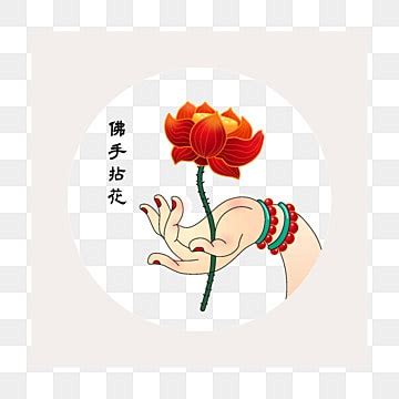 佛手水墨畫蓮花